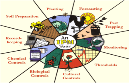4-Integrated-Pest-Management-IPM-practices-1.png
